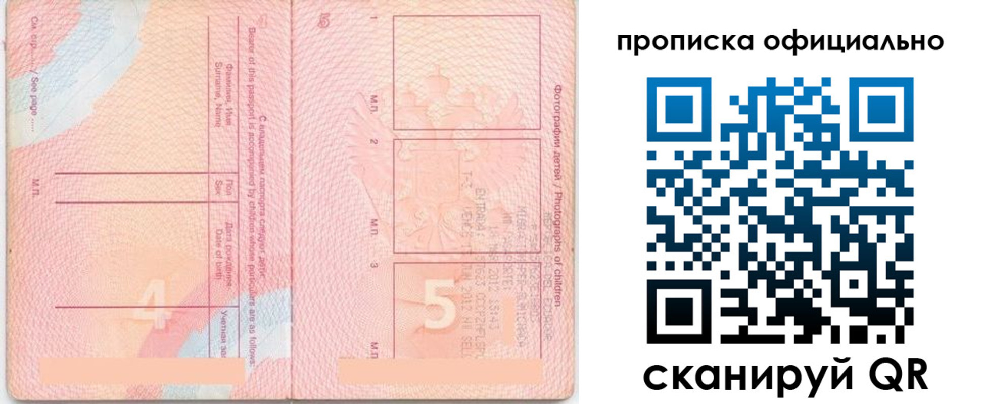 прописка для школы в Раменском